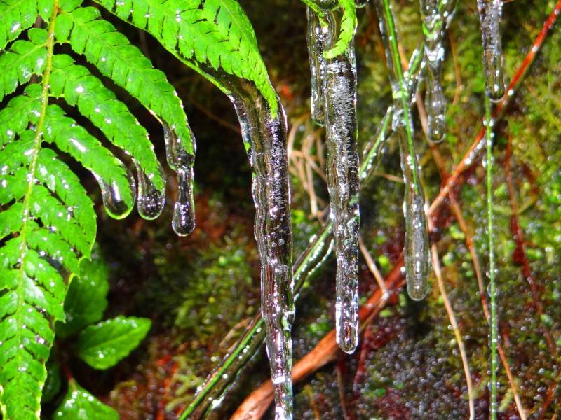 Confira imagens da geada desta sexta-feira, na Serra Catarinense — foto 2