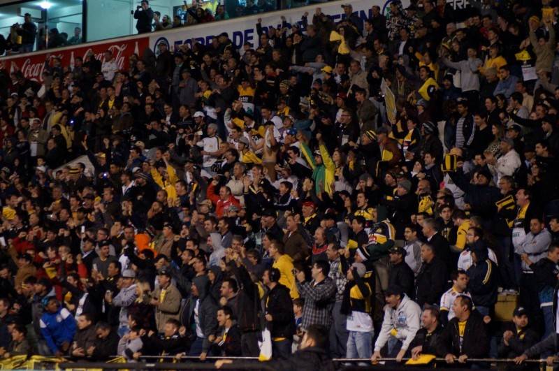 Confira uma galeria de fotos de Criciúma e Grêmio — foto 35
