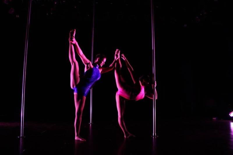 Região recebe 80 bailarinos para a 2ª Mostra de Pole Art — foto 3
