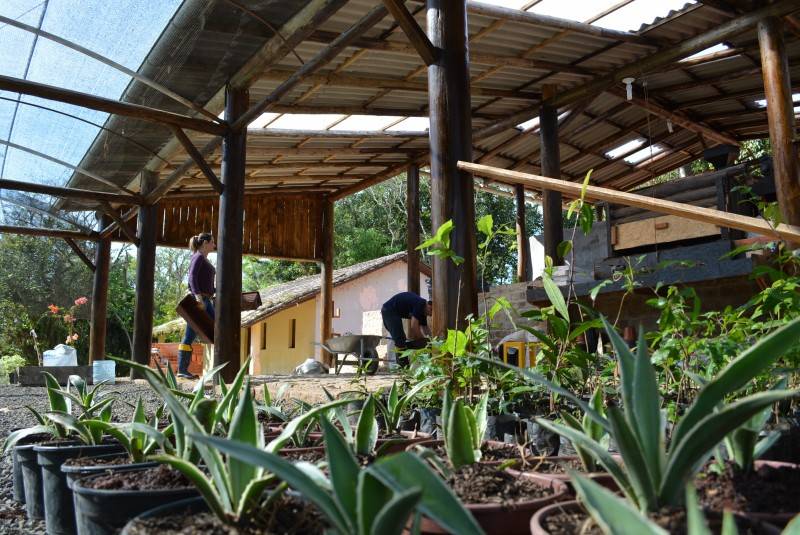 Horto florestal de Urussanga inicia atividades — foto 2