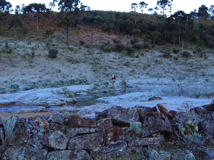 Urupema registra temperatura negativa novamente — foto 6