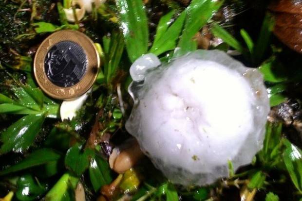 Quatro casas e seis aviários são danificados com chuva de granizo em Siderópolis — foto 1