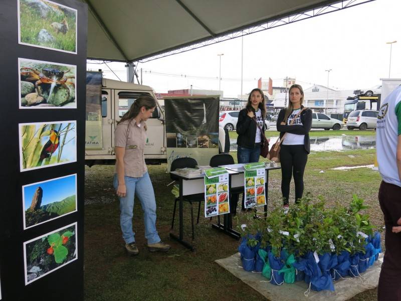 Empresas Rio Deserto doam mudas de árvores frutíferas no Parque das Nações — foto 1