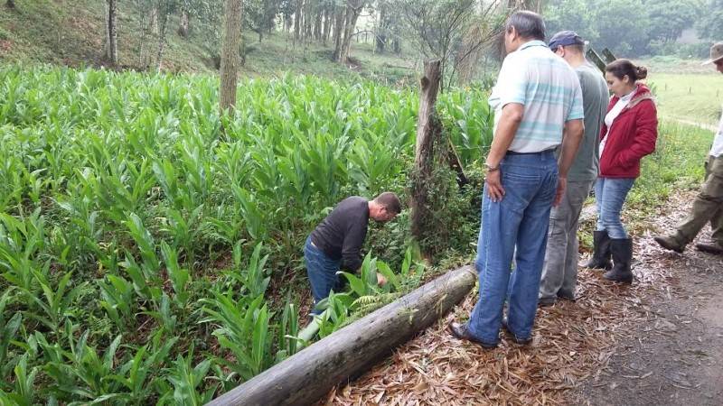 Mestrado contribui para a criação de alternativas sustentáveis — foto 4