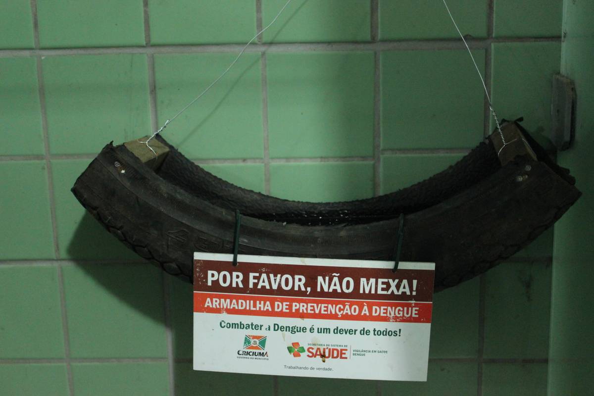 Aumentam denúncias de focos do mosquito Aedes Aegypti — foto 6