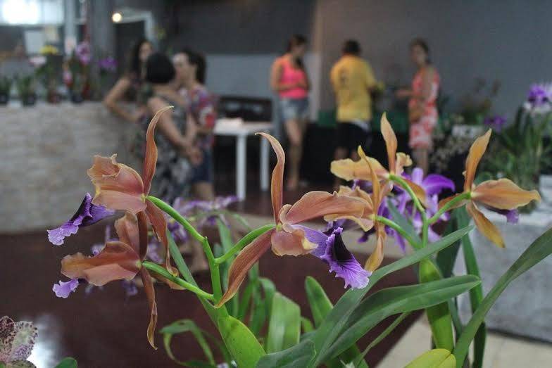 Rincão em Flores se consolida no calendário de verão — foto 1
