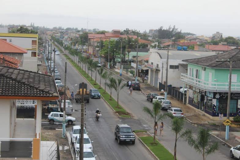 Avenida Leoberto Leal recebe 140 novos coqueiros — foto 1