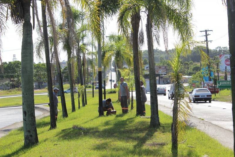 Prefeitura repõe fios furtados de rodovia — foto 1