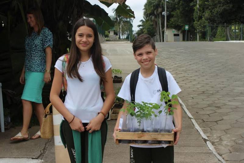 Satc doa planta que auxilia no combate à Dengue — foto 2