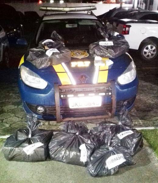 PRF apreende 83 kg de drogas que seriam trazidos para o Sul — foto 2