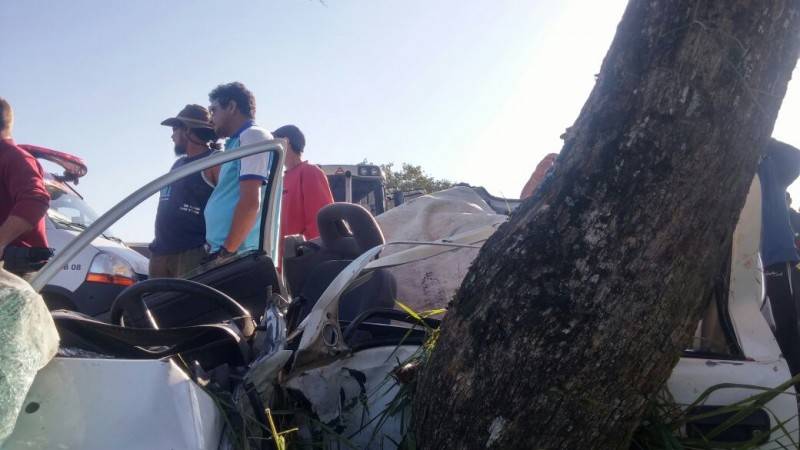Grave colisão em árvore deixa motorista ferido na SC-285 — foto 1