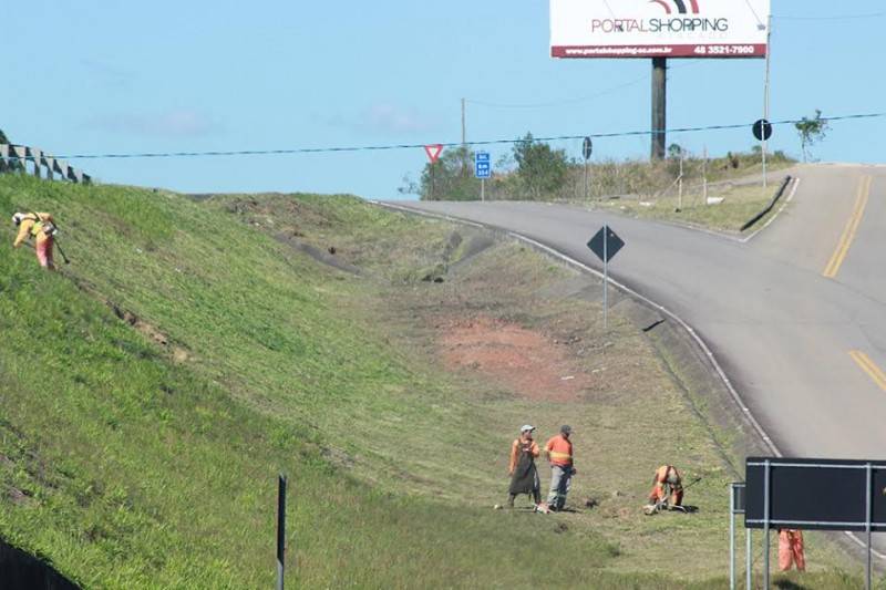 Retomados trabalhos de conservação na BR-101 — foto 1