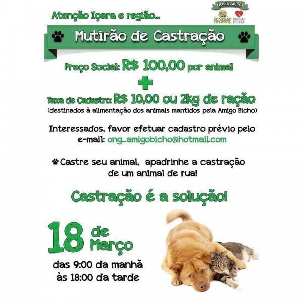 ONG organiza mutirão de castração de cães e gatos com preço acessível — foto 1