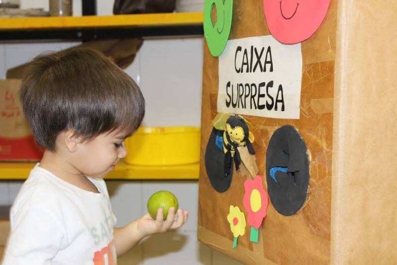Turminha da educação infantil coloca a mão na terra e aprende a plantar — foto 1