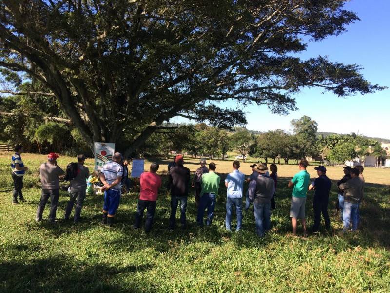 Agricultores são capacitados em sobressemeadura — foto 1