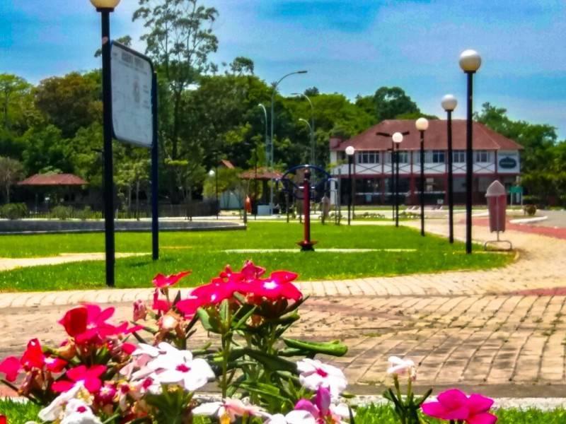 Forquilhinha promove segunda edição do Concurso de Jardins Gartenbau — foto 1