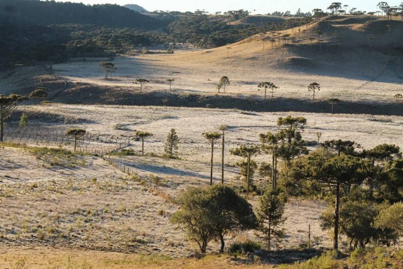 Com 7,8 graus negativos, São Joaquim amanhece esbranquiçado — foto 2