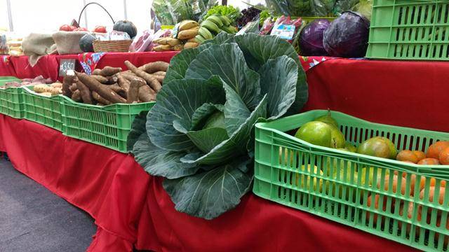 Os orgânicos ditam moda na AgroPonte — foto 2