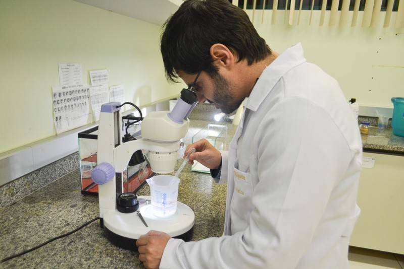 Unesc utiliza peixes em pesquisas científicas — foto 2