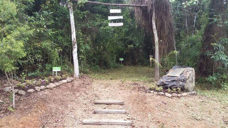 Trilha Ecológica do Mineiro passa por melhorias — foto 1