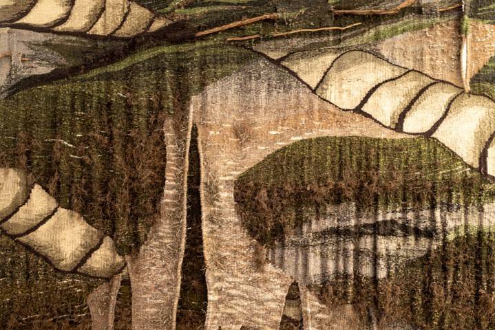 Museu de Arte de SC celebra 70 anos com ocupação histórica no CIC — foto 2