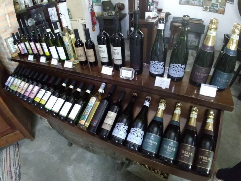 Resgate cultural: domingo é dia de 'Siamo Tutti in Festa' — foto 1