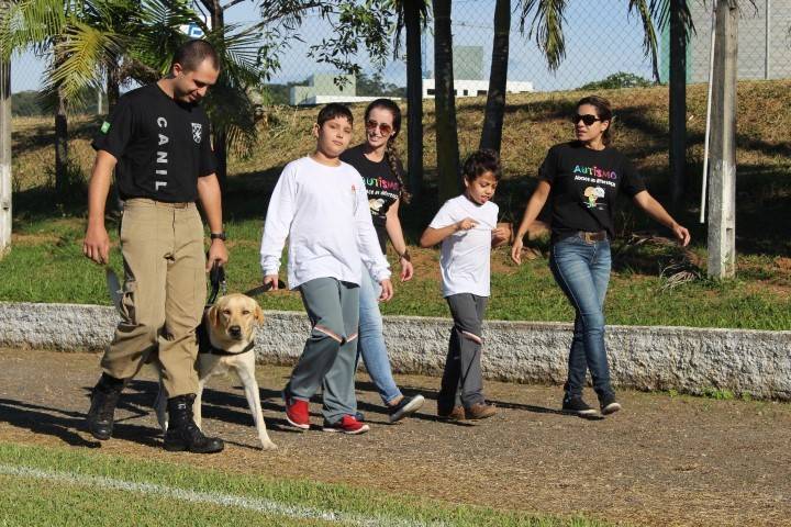 Cão Marley auxilia na terapia de alunos da AMA — foto 1