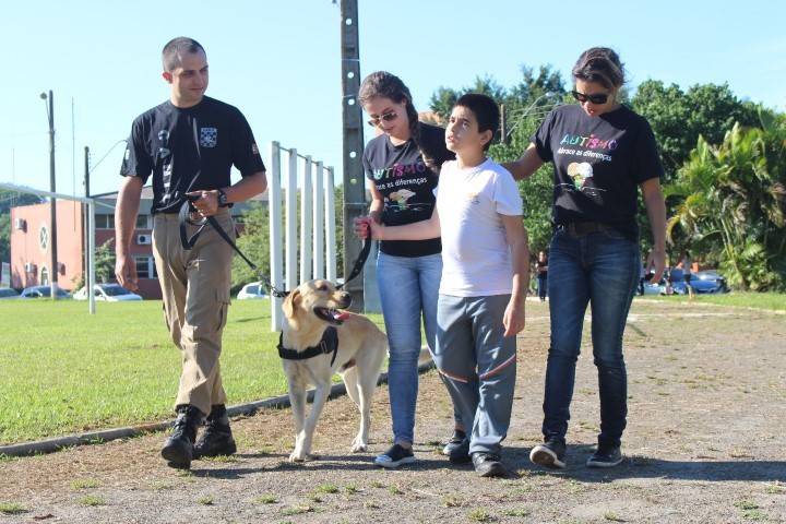 Cão Marley auxilia na terapia de alunos da AMA — foto 2
