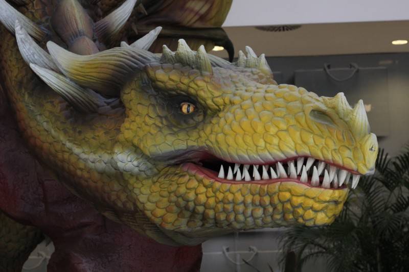 Nações Shopping apresenta Exposição Internacional Dragões — foto 1