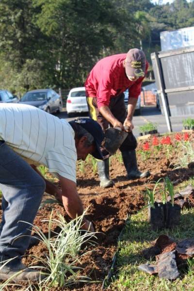 Flores são plantadas nos trevos de acesso a Urussanga — foto 1