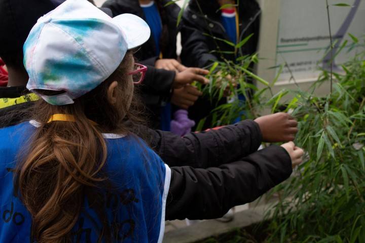 Turminha do Futuro oportuniza aulas vivas — foto 2