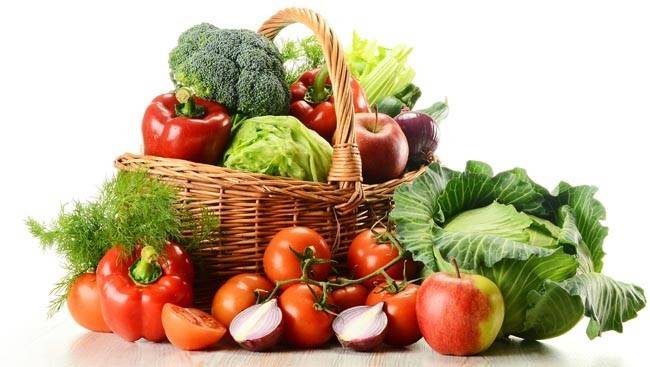 O agronegócio, a agricultura familiar e a pecuária a serviço da alimentação — foto 1