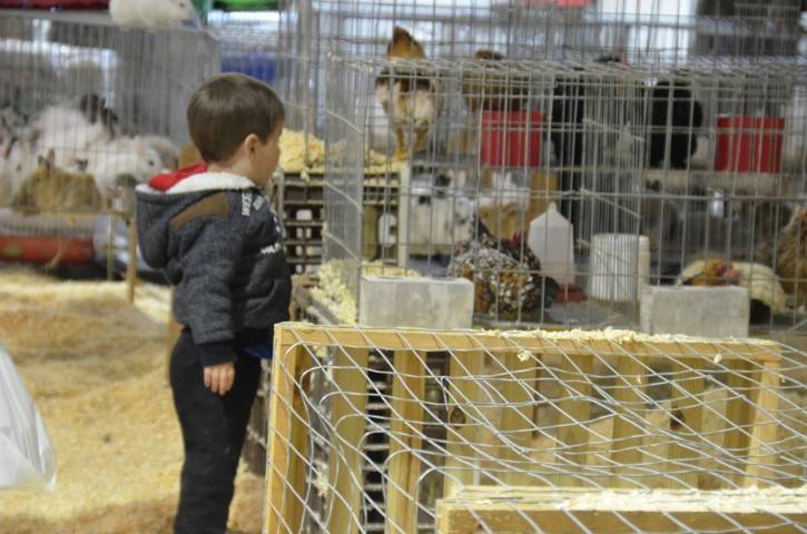 AgroPonte 2018: Está aberta a maior vitrine do agronegócio do Sul — foto 1