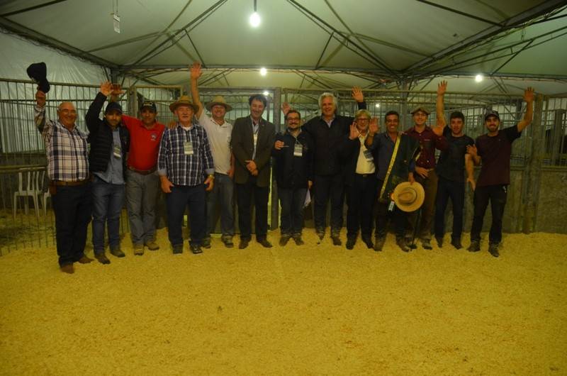 AgroPonte 2018: Julgamento inédito de raças destaca o terceiro dia — foto 2