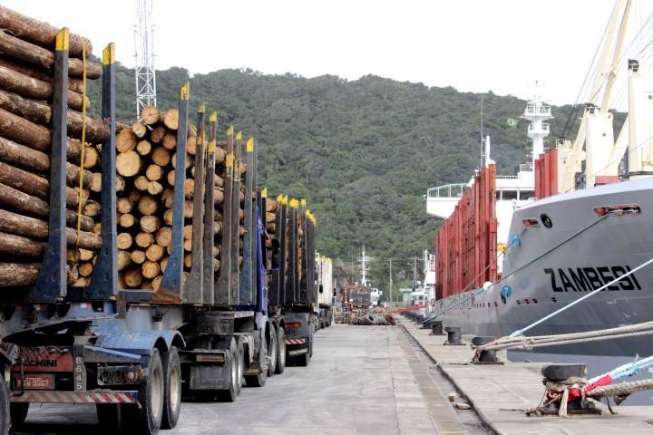 Porto de Imbituba realiza exportação inédita no Brasil — foto 1