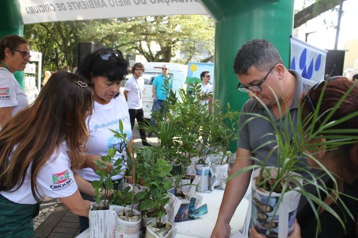 Semana de atividades comemora o Dia Mundial da Árvore — foto 1