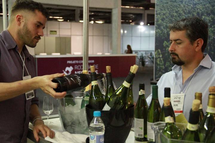 Autêntico vinho brasileiro é destaque na Wine South America — foto 1