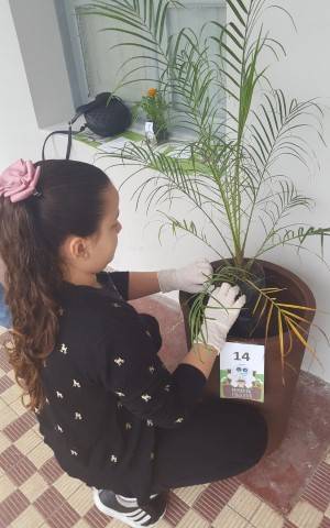 Consciência ambiental e solidariedade marcam mais uma edição do Primavera Consciente — foto 2