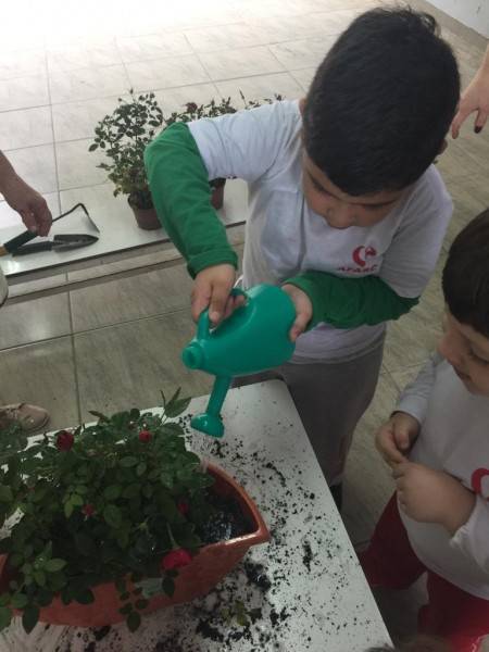 Através da história A Bela e a Fera, crianças do CEI Afasc Pequeno Polegar criam jardim suspenso — foto 2
