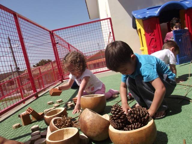 CEI Afasc Gerda Becke Machado proporciona atividade com materiais da natureza — foto 3