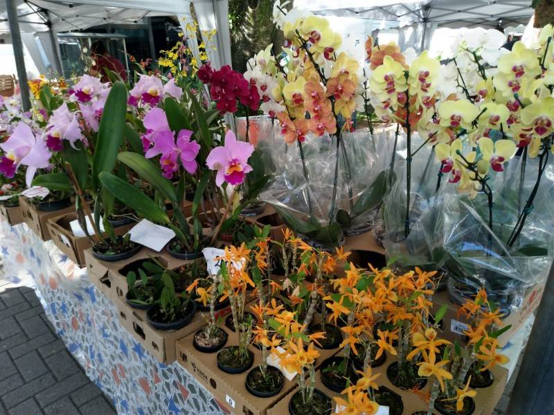 Feira de Artesanato acompanha horário do Sábado Mais em Criciúma — foto 2
