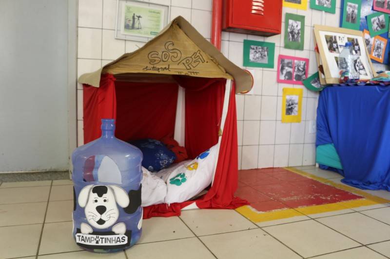 Caminhas para pets feitas por alunos da Satc serão doadas para ONGs — foto 1
