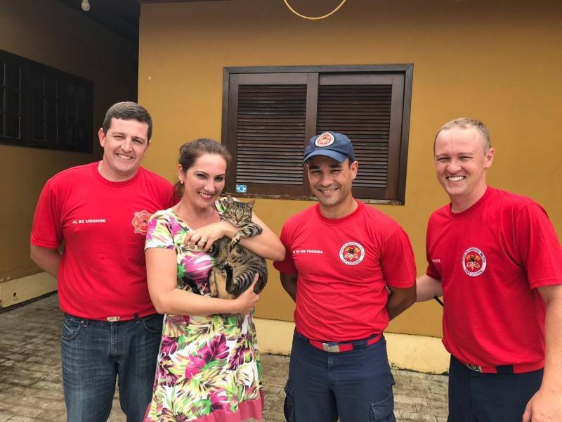 Bombeiros resgatam gata presa há dois dias em chaminé — foto 1