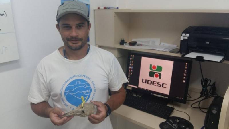 Fragmento de crânio em mineralização é registrado pela equipe da Udesc — foto 1