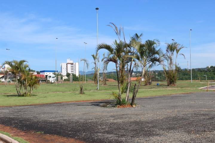 De área de rejeitos de carvão a transformação para o Parque dos Imigrantes — foto 2