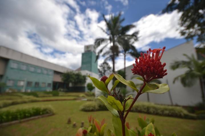 Unesc realiza atividades em horário especial — foto 1