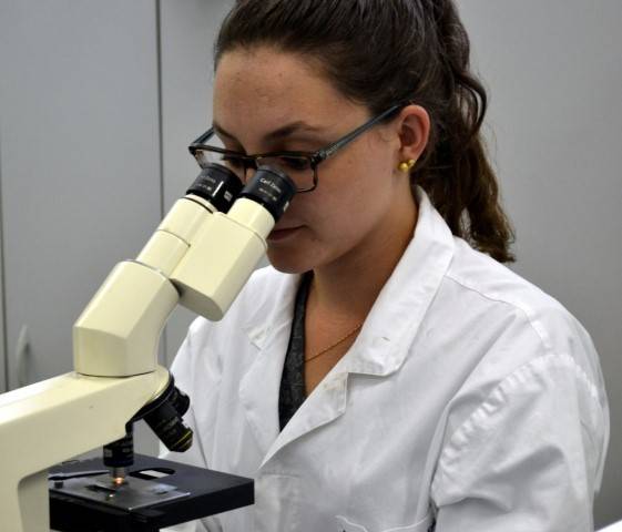 Pesquisadores do Sul do Estado contam com o suporte do Comitê de Ética da Unesc — foto 1