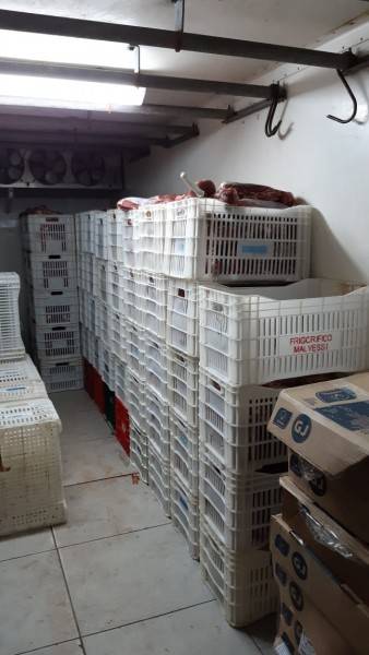 Quatro toneladas de carne roubada são recuperadas em Tubarão — foto 1