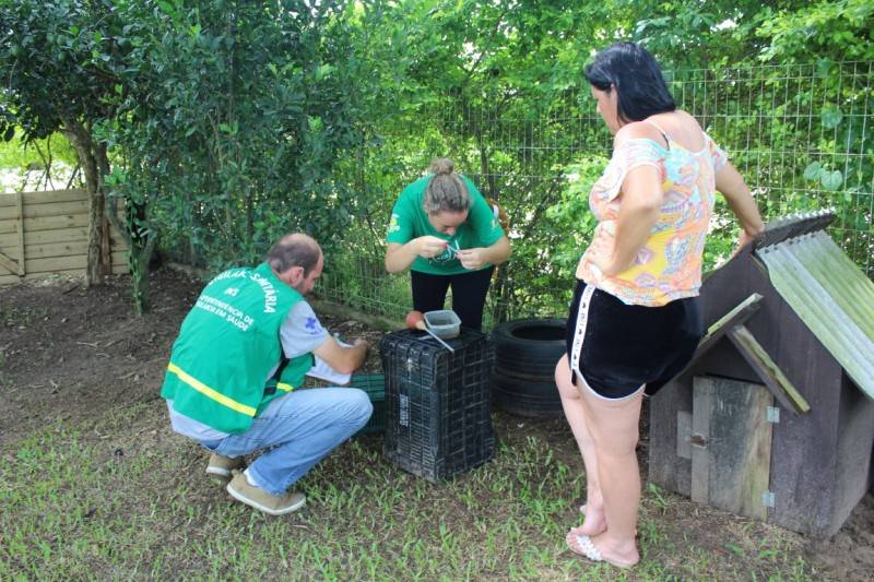 Larvas do mosquito Aedes aegypti são encontradas em Maracajá — foto 1