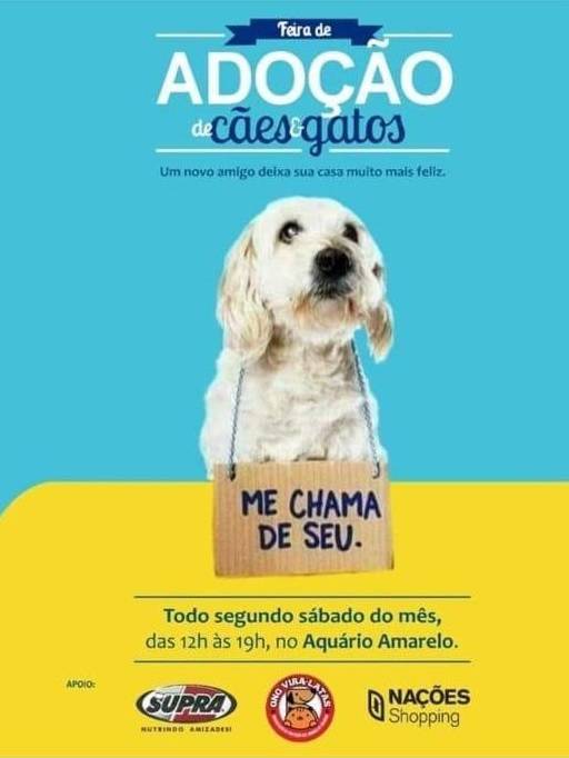 Sábado é dia de Feira de Adoção de cães e gatos — foto 1